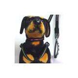 Taiwan Pet Lead, Pet Collar, Dog Harness