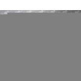 Sell 100% Cotton Embroidered Fabric thumbnail-1