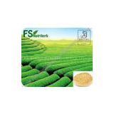 Top quality Green tea Extract Polyphenols