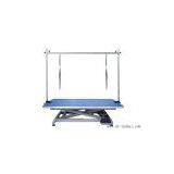 Electric Inclined-strut Pet Grooming Table