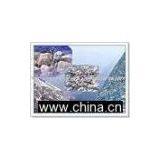 Stone Keeper thumbnail-1