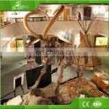 KAWAH OEM Best Quality Artificial Dinosaur Skeleton Made In China thumbnail-2
