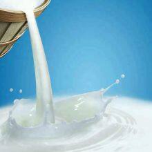 Dairy/milk Processing Machinery Equipment thumbnail-4