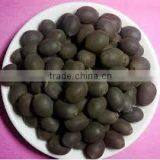 BLACK LOTUS SEED HIGH QUALITY_SPECIAL PRICE thumbnail-1