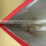 Non Woven Laminated Cooler Bag Without Gussets thumbnail-4