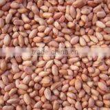 Chinese Blanched Peanuts thumbnail-1