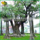 Latest Design Artificial Banyan Tree thumbnail-1