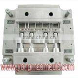 Company That Manufacture Plastic Pipe Fitting Injection Mould/Collapsible Core