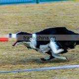 Custom Design Promotional Foam Frisbee Flying Disc