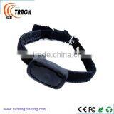 Worlds Smallest Gps Tracking Device for Pets and Kids thumbnail-4