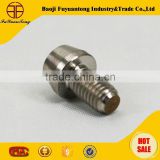 customized titanium bolt and screws for auto/motorcycle industry