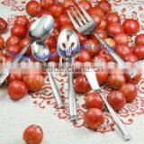 Stainless Steel Cutlery thumbnail-1