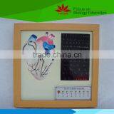 Low Priced Cardiac Conduction System Electic Model thumbnail-1