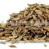 Cumin 99% Pure thumbnail-5