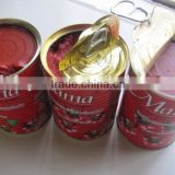 canned tomato paste in china for export