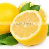 Lemon Oil thumbnail-4