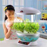 Fish Tank Buy thumbnail-3