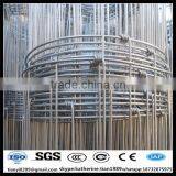 Hot Dipped Galvanized Top and Bottom Wire 2.5mm Field Fence With Low Price