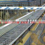 Taiy Quail Layer Cage Design for Sales thumbnail-1