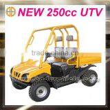 250cc Cheap 4x4 Utv thumbnail-1