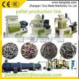 Indonesia Biomass Rice Husk Pellet Production Line/stalks Pellet Plant/pelleting Line