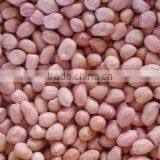 Peanut Sheller thumbnail-2