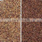 Grain,Wheat,Rice,Seeds,Dehydrated Vegetable,Recycle Plastic Color Sorter thumbnail-4