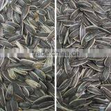 China Manufacturer Price Agriculture Color Sorter/color Sorting Machine for Sunflower Seeds thumbnail-4