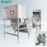 Dehydrated garlic accurate optical belt color sorter machine with advanced software