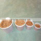 FDA Broiler Poultry Feed Mealworms thumbnail-2