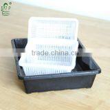 Garden Growing Tray Nursery Pot Seed Planter thumbnail-3