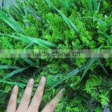SJ11301209 Artificial Grass Decoration Boxwood/plastic Grass Mat thumbnail-2