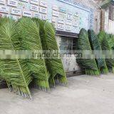 SJ07011102 Wholesale Tree Leave Outdoor/High Initation Plam Tree Leave/decorative Palm Leaves thumbnail-5