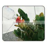 2pcs Bottle-Top Waterers Set thumbnail-4