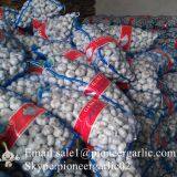 5.5cm Normal White Garlic Loose Packing In 10kg Mesh Bag thumbnail-4