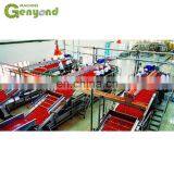 Fruit Jam Tomato Past Process Machine Plant thumbnail-3