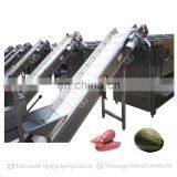 Stainless Steel Kiwi Potato Mango Fruit Grading And Sorting Machine Price thumbnail-6