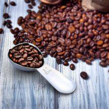 Custom 1T 15ML / 2T 30ML Short Handle Scoops Stainless Steel Tea Milk Coffee Measuring Spoons SET thumbnail-5
