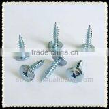 Flat Head Self Tapping Screw,self Tapping Screw thumbnail-1