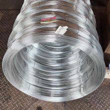 Factory Best Price 2.7*2.2 3*2.4mm 2.2*2mm 80g 100g Galvanized Oval Wire thumbnail-1