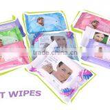 Wet Wipes, Lady Cleaning Wet Wipes