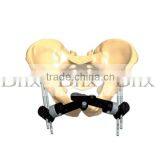Pelvic Fixator(protection of Pelvic and Prevent Cavity Hemorrhage) thumbnail-1
