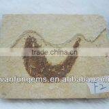 Natural Fish Fossil No. 1