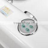 Multifunction Fiberglass-reinforced Hydro Bath Tub for Pets,dog Bathtubs for Massage thumbnail-5