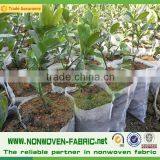[FACTORY] Hydrophilic Spunbond PP Nonwoven Weed Control Mat/Fabric/Fleece/Cover/Blanket thumbnail-2