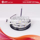 5m 60leds/m 5050 RGBW led strip RGB+Cool White strip light Non-waterproof IP30 White PCB DC12V SMD 5050 Mixed color