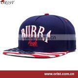 3d Embroidery Snapback Hat /3d Embroidery Fabrics Baseball Caps