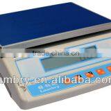 BW-II LCD Weighing Scale 30kg
