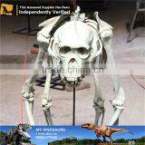 MY Dino-C077 Life Size Dog Skeleton for Decoration thumbnail-1