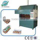 Good quality useful egg carton thermoforming machine | cu